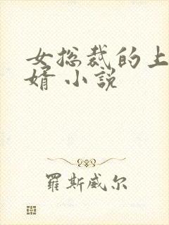 女总裁的上门龙婿 小说封面