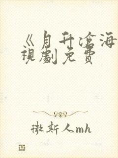 《月升沧海》电视剧免费封面