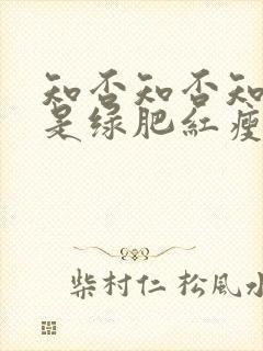 知否知否知否应是绿肥红瘦是哪个季节