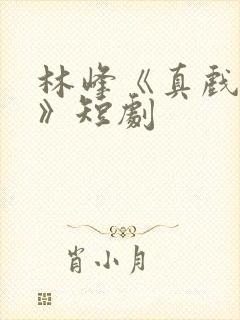 林峰《真戏人生》短剧