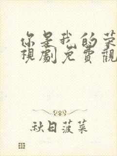 你是我的荣耀电视剧免费观看完整版星辰影院封面