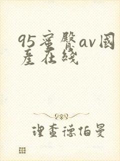 95蜜臀av国产在线