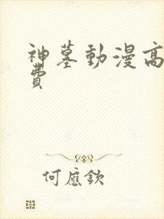 神墓动漫高清免费
