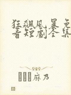 狂飙风暴免费观看短剧全集