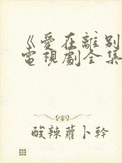 《爱在离别时》电视剧全集免费观看