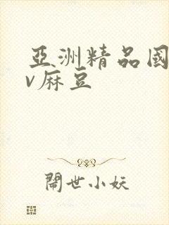 亚洲精品国产av麻豆