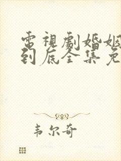 电视剧婚姻进行到底全集免费播放