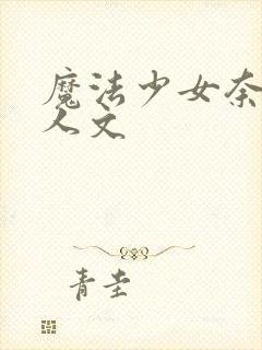 魔法少女奈叶同人文封面