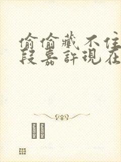 偷偷藏不住桑稚段嘉许现在免费观看封面