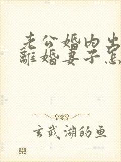 老公婚内出轨要离婚妻子怎么去挽回封面