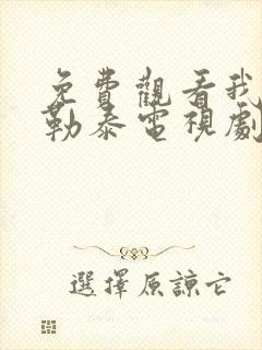 免费观看我的阿勒泰电视剧