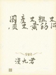 国产又粗又猛又,爽又黄的网站