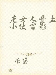 老女人爱上年轻小伙电影封面