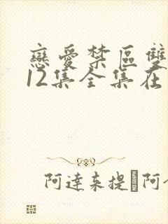 恋爱禁区双男主12集全集在线观看电视剧