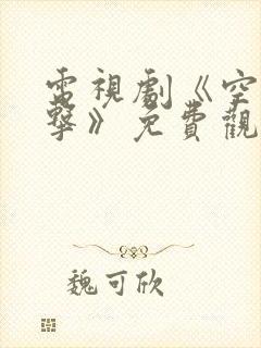 电视剧《空中突击》免费观看封面