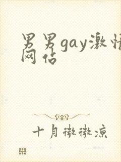 男男gay激情网站