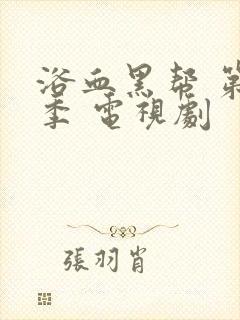 浴血黑帮 第四季 电视剧封面