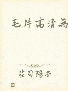 毛片高清无遮挡