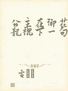 公主在御花园吃龙棍下一句封面