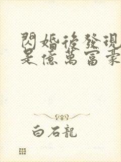 闪婚后发现老公是亿万富豪(小说)