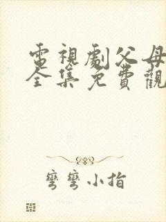 电视剧父母爱情全集免费观看高清封面