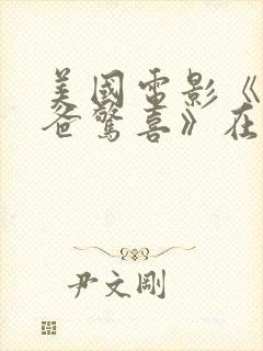 美国电影《给爸爸惊喜》在线观看