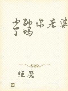 少帅你老婆又跑了吗封面