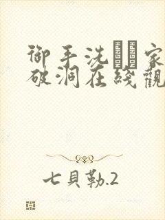 御手洗さん家の破洞在线观看