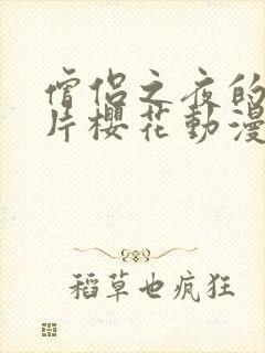 僧侣之夜的动画片樱花动漫