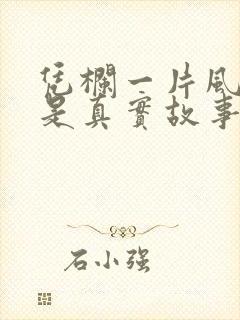 凭栏一片风云起是真实故事吗封面