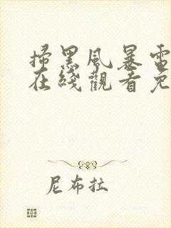 扫黑风暴电视剧在线观看免费25集