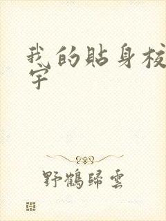 我的贴身校花唐宇