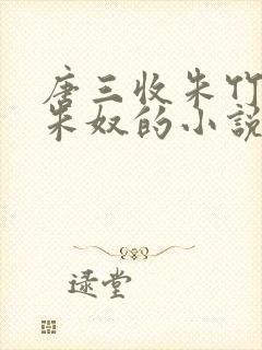 唐三收朱竹清为朱奴的小说