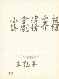 小舍得电视剧分集剧情介绍