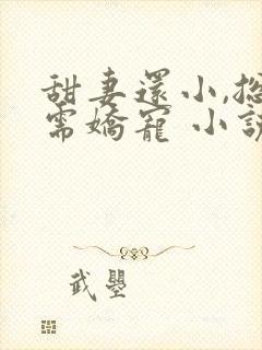 甜妻还小,总裁需娇宠 小说