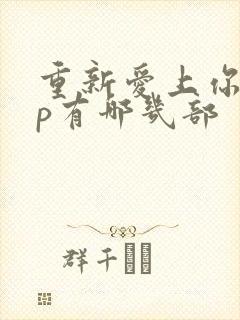 重新爱上你副cp有哪几部