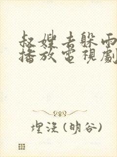 叔嫂去躲雨免费播放电视剧第9集