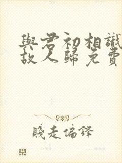 与君初相识恰似故人归免费播放