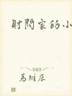 财阀家的小儿子