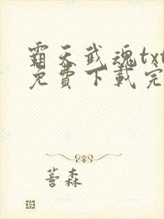 霸天武魂txt免费下载完本封面