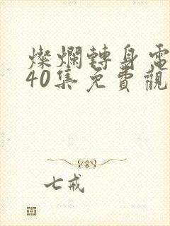 灿烂转身电视剧40集免费观看高清