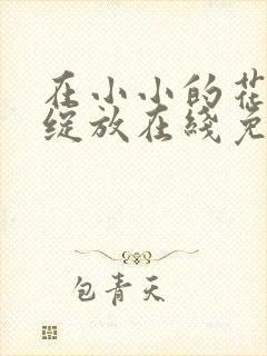 在小小的花蕾里绽放在线免费观看封面