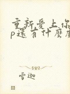 重新爱上你副cp还有什么剧