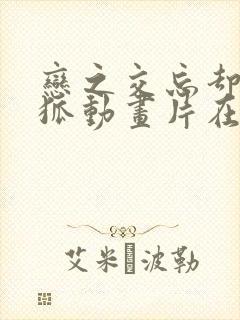 恋之交忘却の妖狐动画片在哪里看