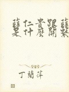 薛仁贵跟薛平贵是什么关系啊封面