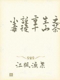 小说重生之将门毒后千山茶客外传