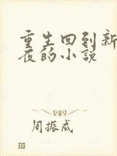 重生回到新婚之夜的小说