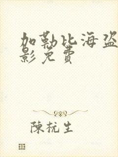 加勒比海盗6电影免费