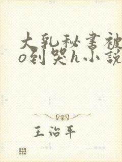 大乳秘书被cao到哭h小说封面