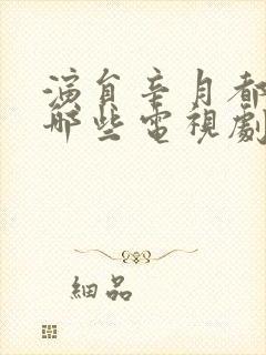 演员辛月都演过哪些电视剧封面